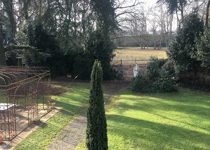 Demeure Du Nid De La Creation * 韦尔图